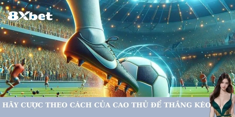 Hãy cược theo cách của cao thủ để thắng kèo tài xỉu 3/4